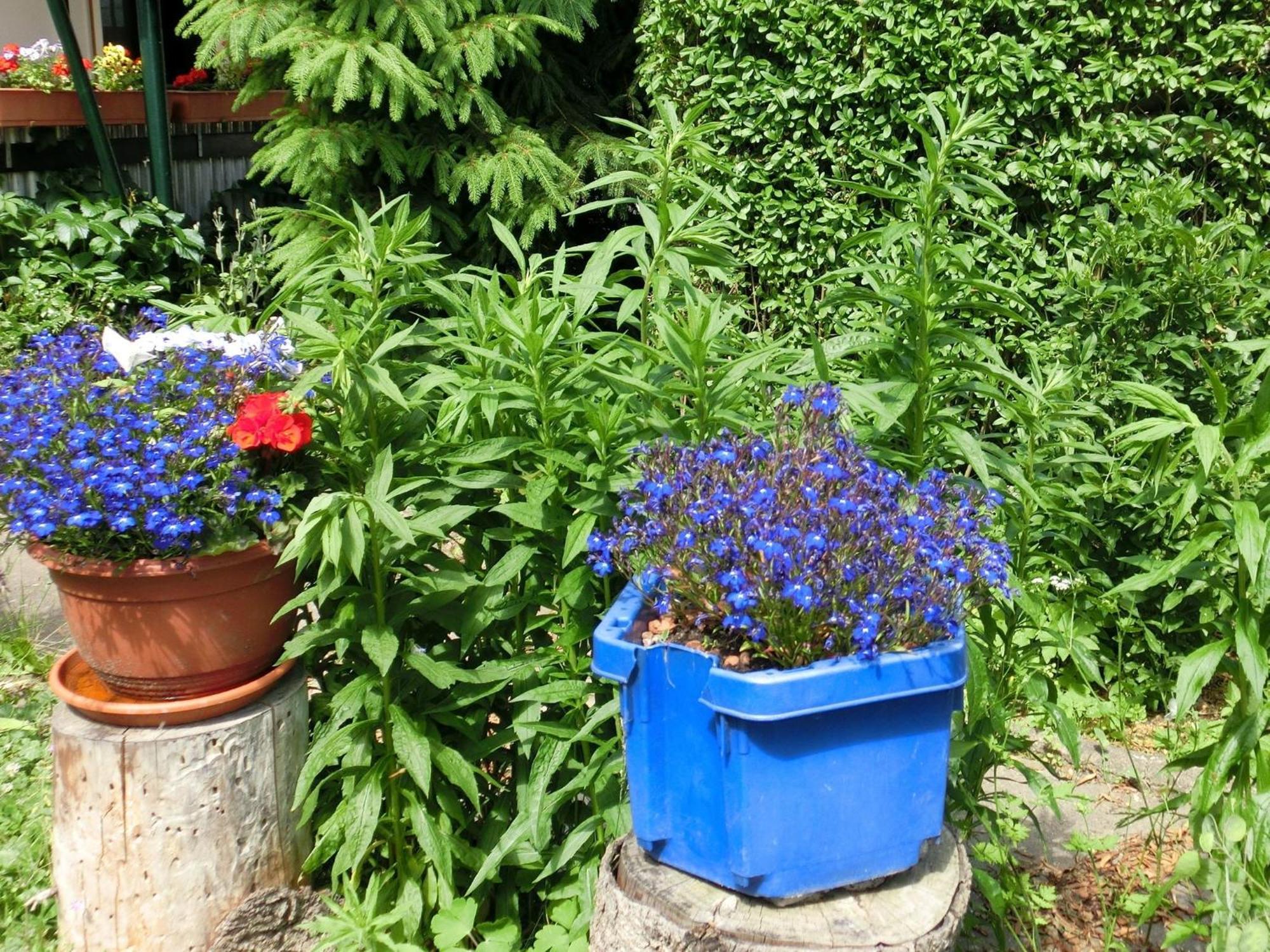 Holiday Home In Cattenstedt Harz With Garden Luaran gambar